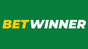 Exploring the BetWinner Betting Platform A Comprehensive Review