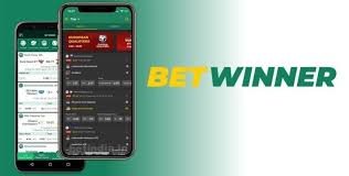 Exploring the BetWinner Betting Platform A Comprehensive Review